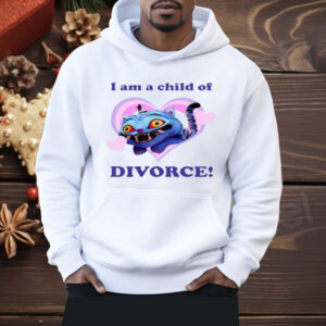 Derpy I Am A Child Of Divorce Shirt