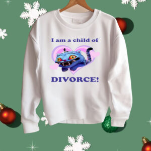 Derpy I Am A Child Of Divorce Shirt