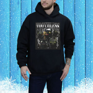Toothless Dragon How To Train Your Dragon Tee Shirt
