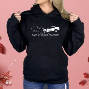 Sign Crushes Motorist Inside Out Shirt