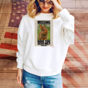 Missing Have You Seen Me Bunnygate Tee Shirt