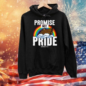Rainbow Promise Not Pride Genesis 9 13 T-Shirt