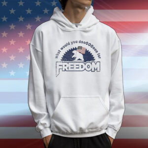 What Would You Do Freedom Bear American Flag T-Shirt