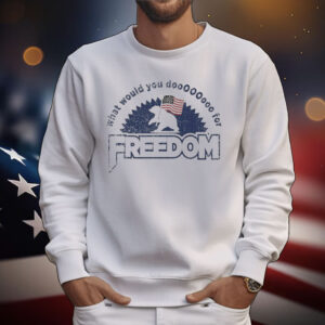 What Would You Do Freedom Bear American Flag T-Shirt